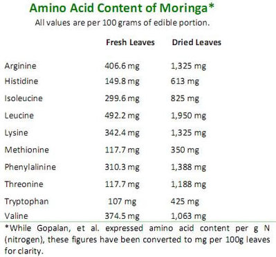 Amino Acid Content of Moringa.jpg