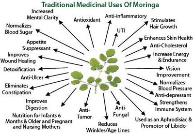 Moringa benefits.jpg