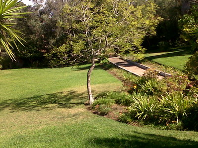 IMG-20140907-00064.jpg