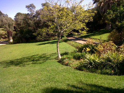 IMG-20140928-00068.jpg